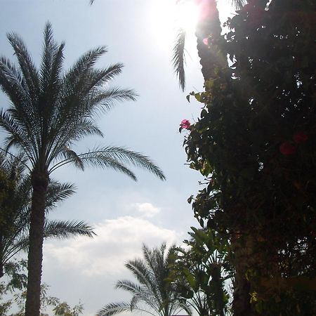 Six Corners Resort Abu Sultan Luaran gambar