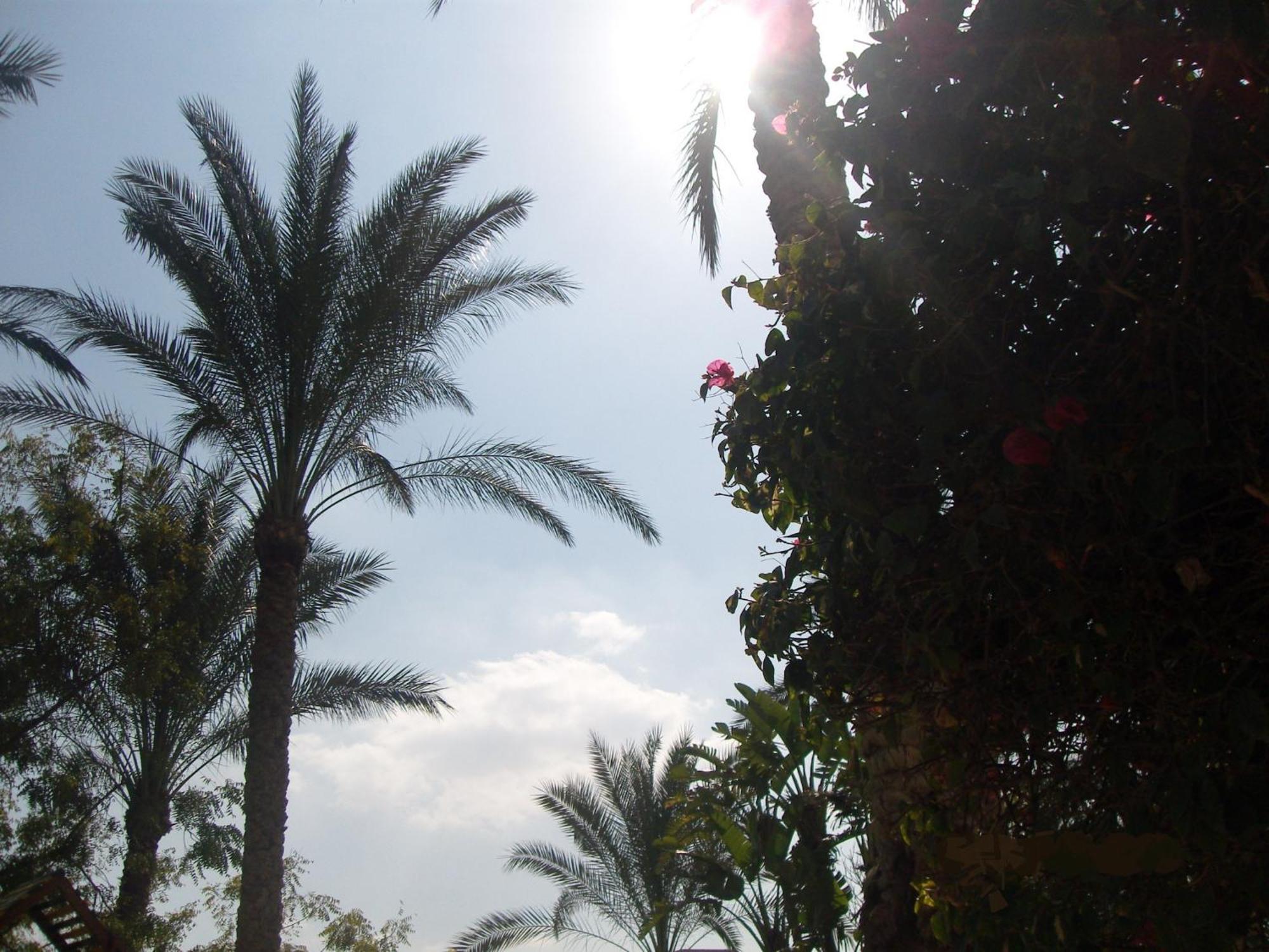 Six Corners Resort Abu Sultan Luaran gambar