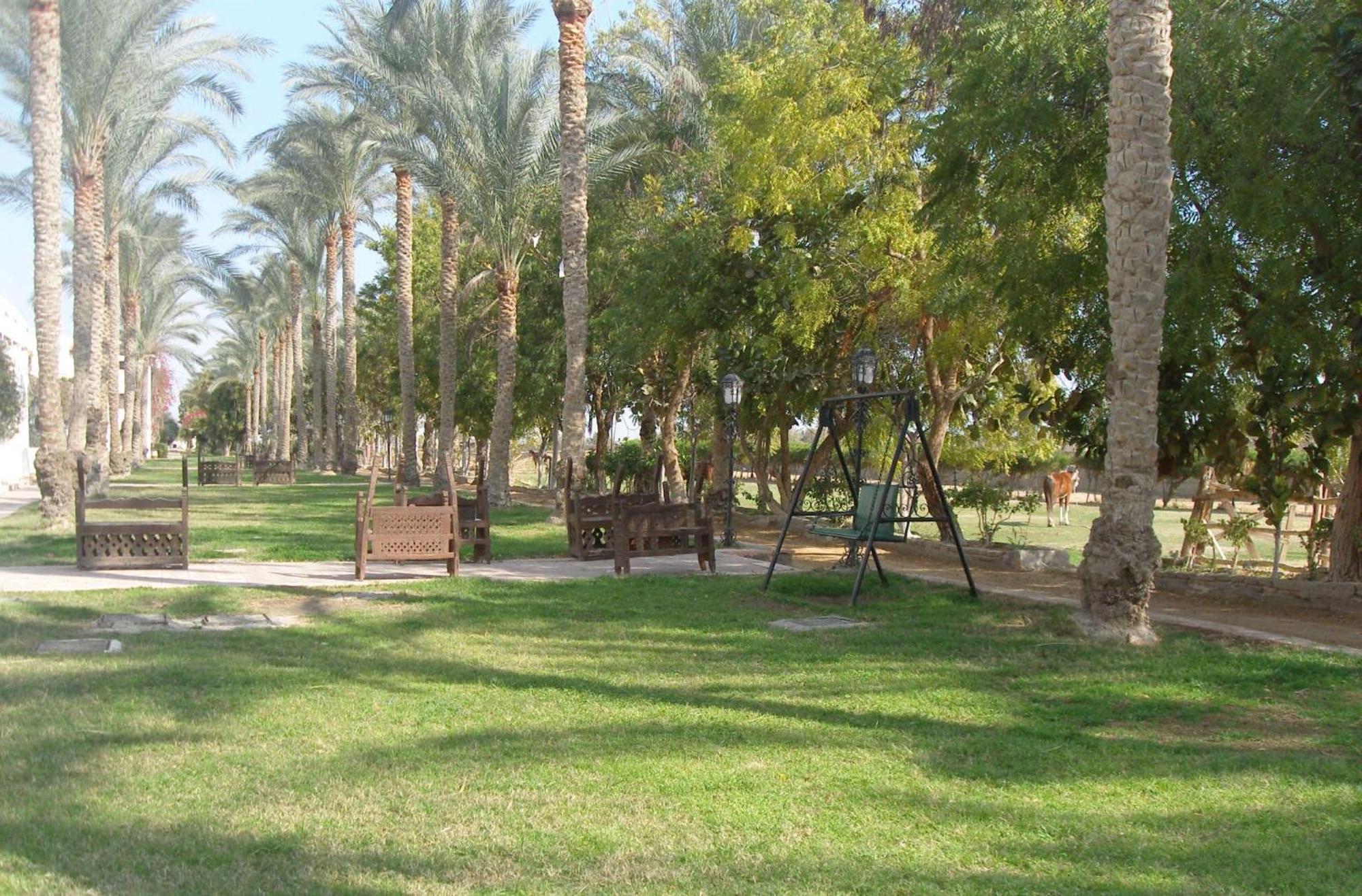 Six Corners Resort Abu Sultan Luaran gambar